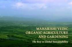 Mvedic-org-ag--w250h164 (1)